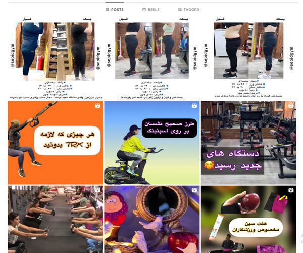 اینستاگرام باشگاه بدنسازی سپید