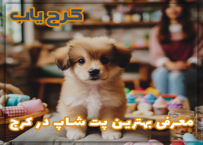 بهترین پت شاپ در کرج