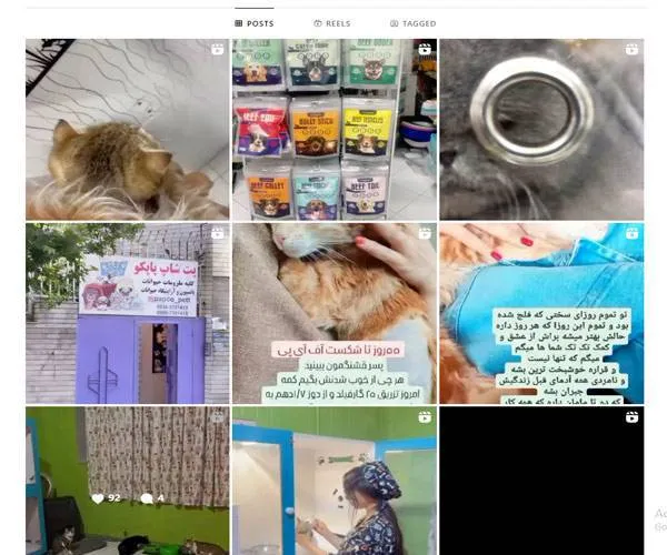 اینستاگرام پت شاپ پاپکوپت