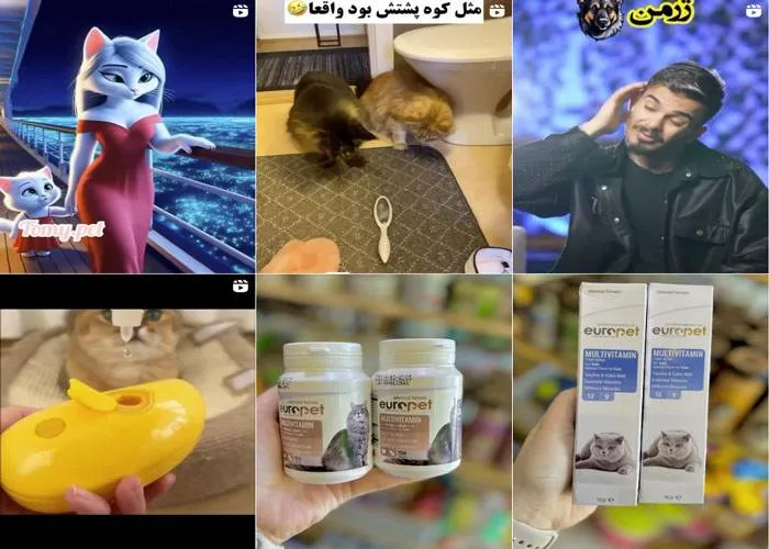 اینستاگرام پت شاپ تامی پت