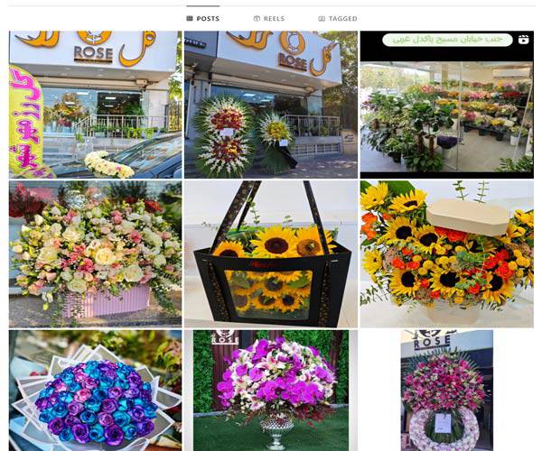 اینستاگرام گل فروشی رز