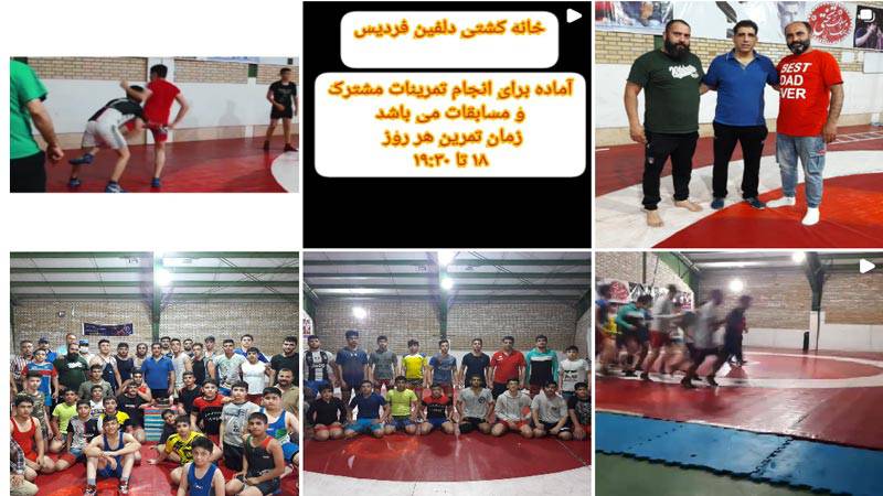 اینستاگرام باشگاه کشتی دلفین