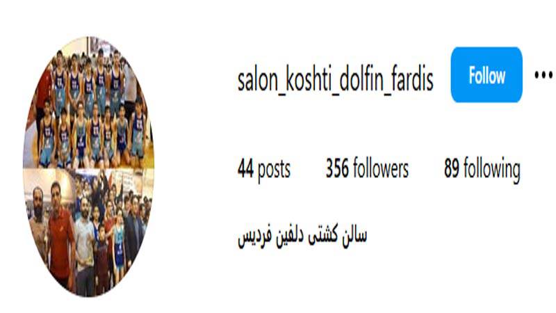باشگاه کشتی دلفین