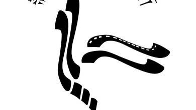 آتلیه عکاسی پاسارگاد فردیس