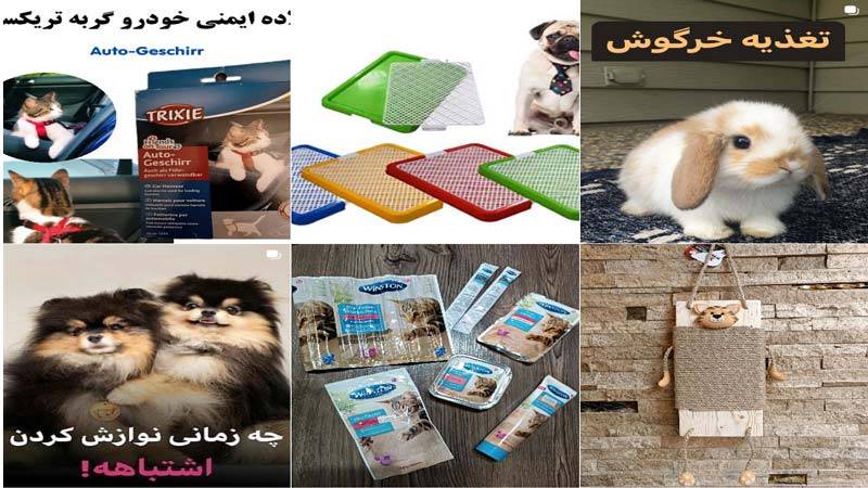 اینستاگرام پت شاپ آسا