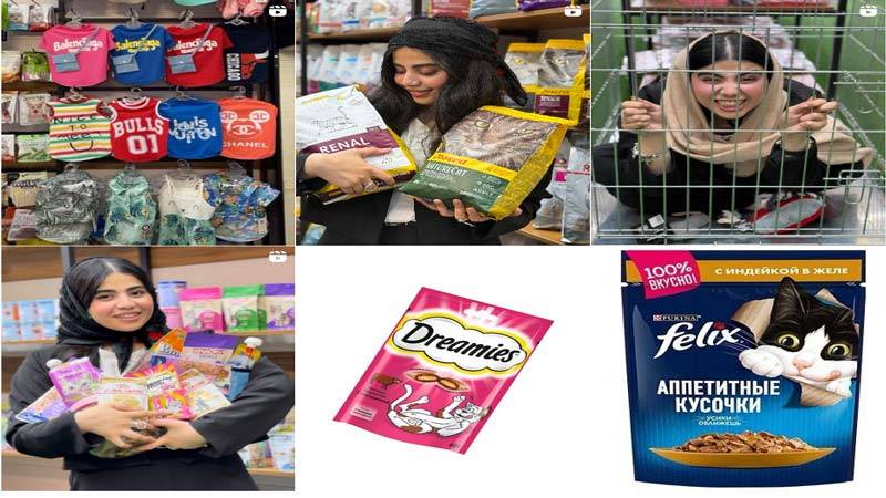 اینستاگرام پت شاپ فکتوری