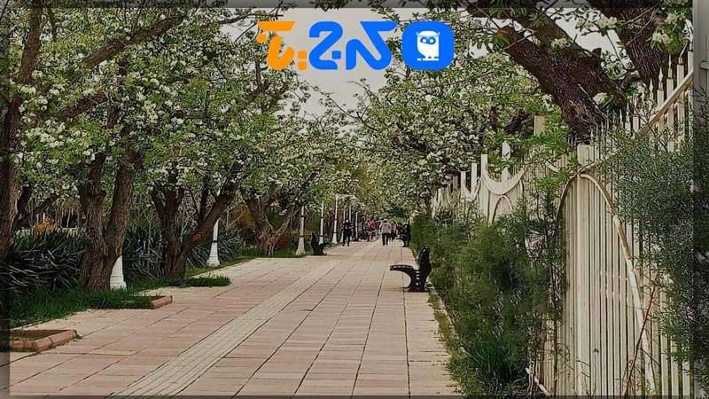 باغ سیب مهرشهر